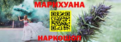 сатива Волжский