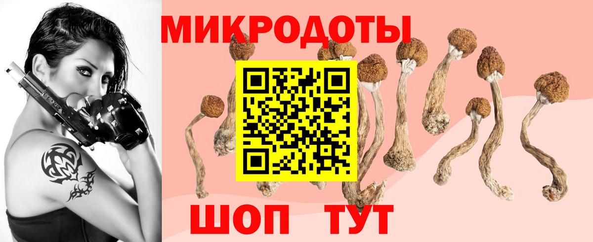 Гагарин  Псилоцибиновые грибы прущие грибы  Вход с VPN 