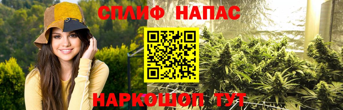 Шишки марихуана семена  Вход с VPN  Гагарин  Конопля Bruce Banner  МАРИХУАНА ГИДРОПОН 
